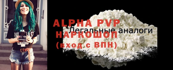 индика Заволжье