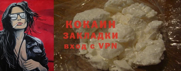 индика Заволжье