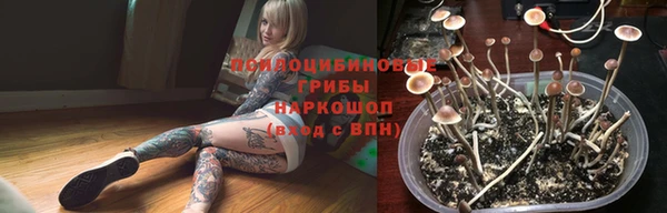 МДМА Заводоуковск
