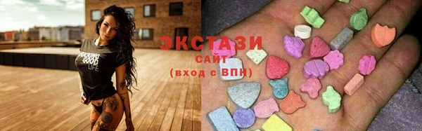 индика Заволжье