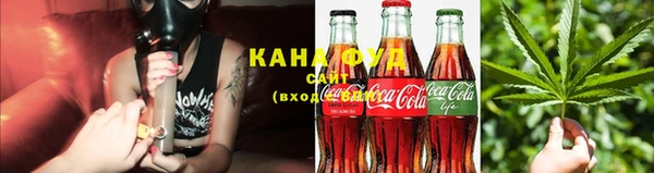 индика Заволжье