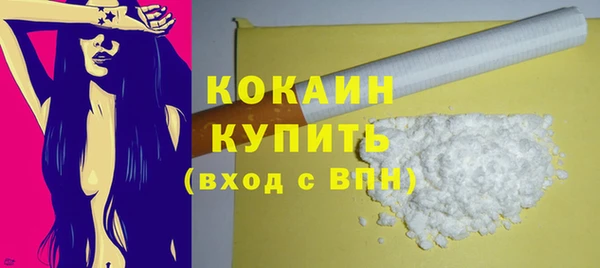 индика Заволжск