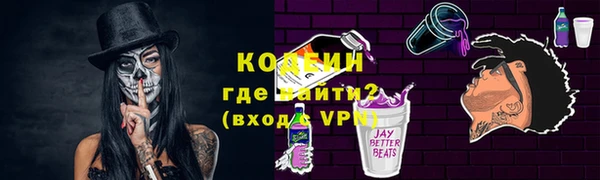 индика Заволжск