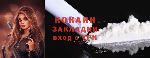 индика Заволжье