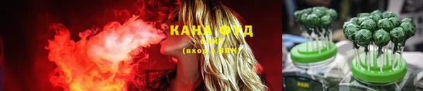 индика Заволжье