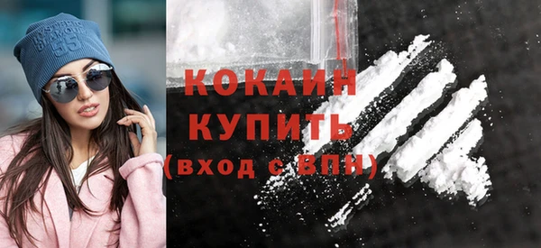 индика Заволжье