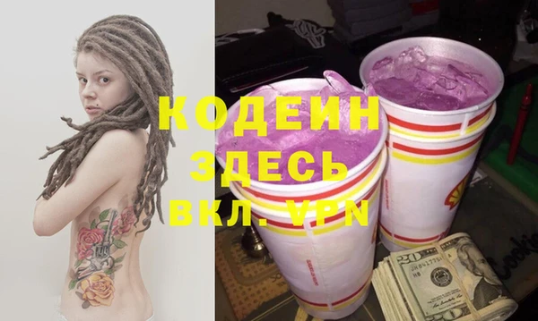 индика Заволжье