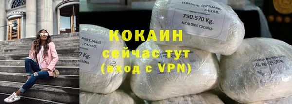 индика Заволжье