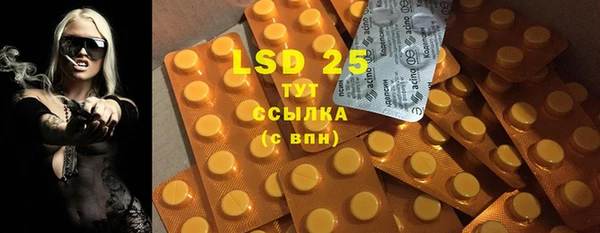 индика Заволжье